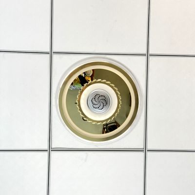 Módulo de Ionización DC12V para Generador de Iones Negativos de Lámpara 8KV OEM